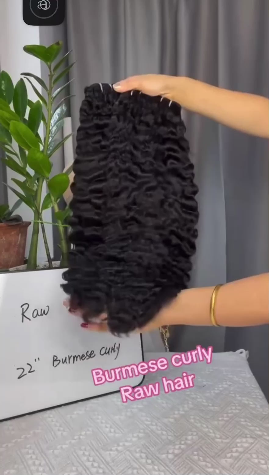 Burmese Curls Bundles